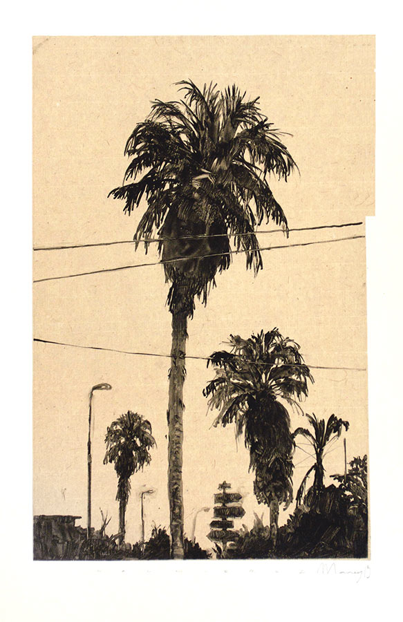 Palmiers 1. Monotype, 34,5 x 22 cm, 2013