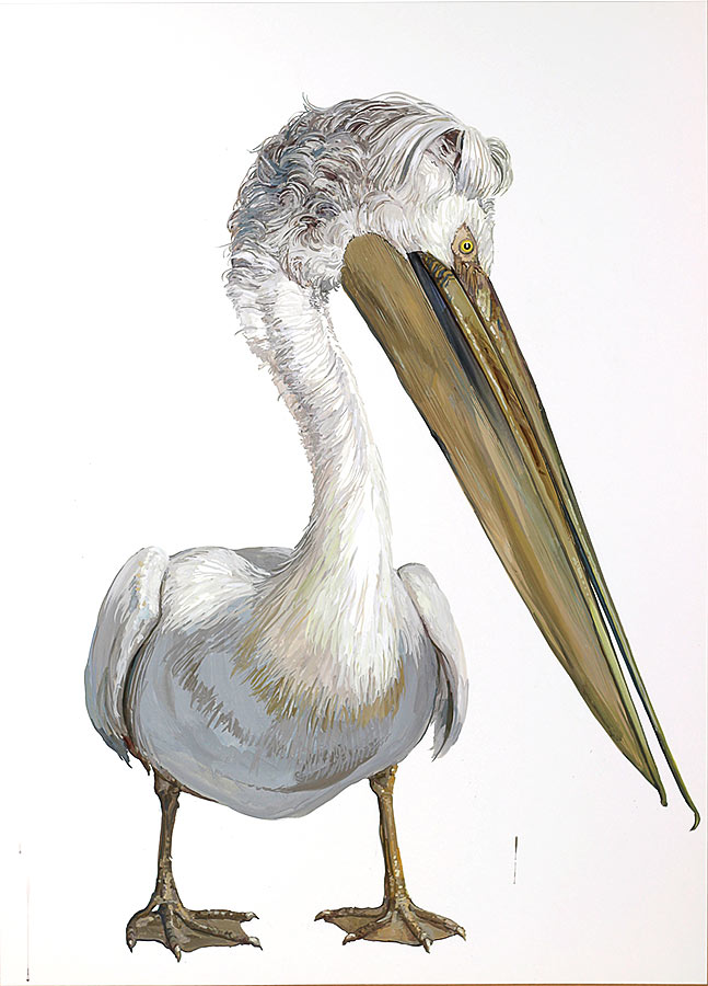 Pelican 2. Gouache, 100 x 75, 2016
