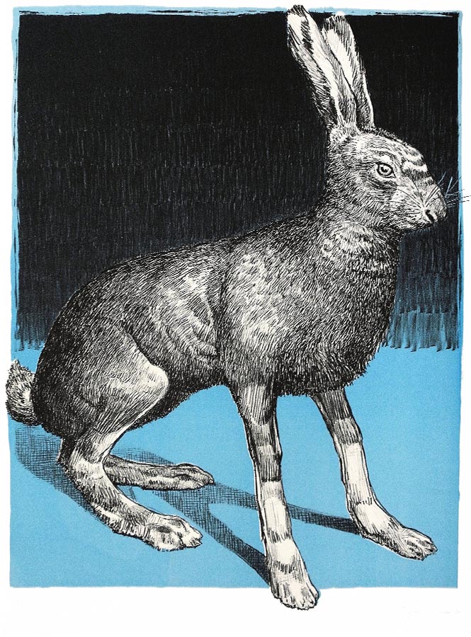 Lièvre bleu. Lithographie 15 ex. 66 x 50 cm, 2011