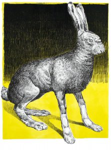 Lièvre jaune. Lithographie 10 ex. 66 x 50 cm, 2011