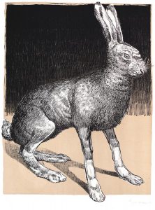 Lièvre kaki. Lithographie 5 ex. 66 x 50 cm, 2011
