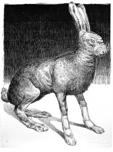 Lièvre noir et blanc. Lithographie 20 ex. 66 x 50 cm, 2011
