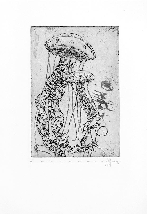 Ténèbres 11. Gravure (cuvette) 18 x 15 cm, 2014
