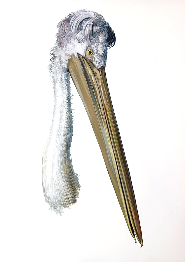 Pelican 1. Gouache, 100 x 72, 2016