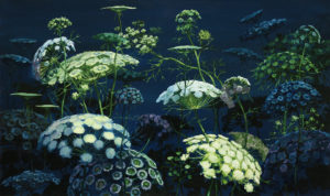 Petites ombelles. Huile sur bois, 28 x 47 cm, 2020.
